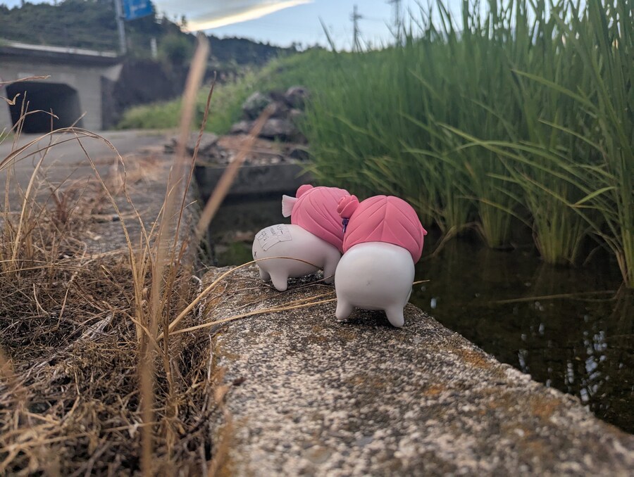 시골 도로롱의 모험_2.jpg