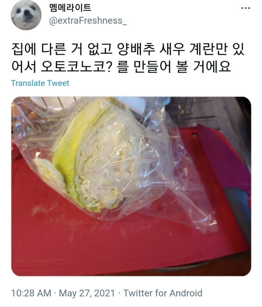 양배추 새우 계란으로 만들 수 있는것.jpg_1.png