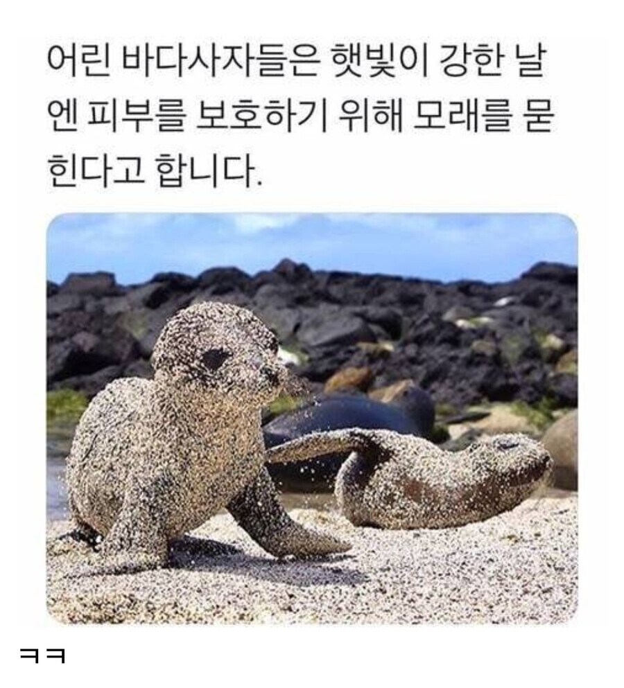 바다인절미_1.jpg