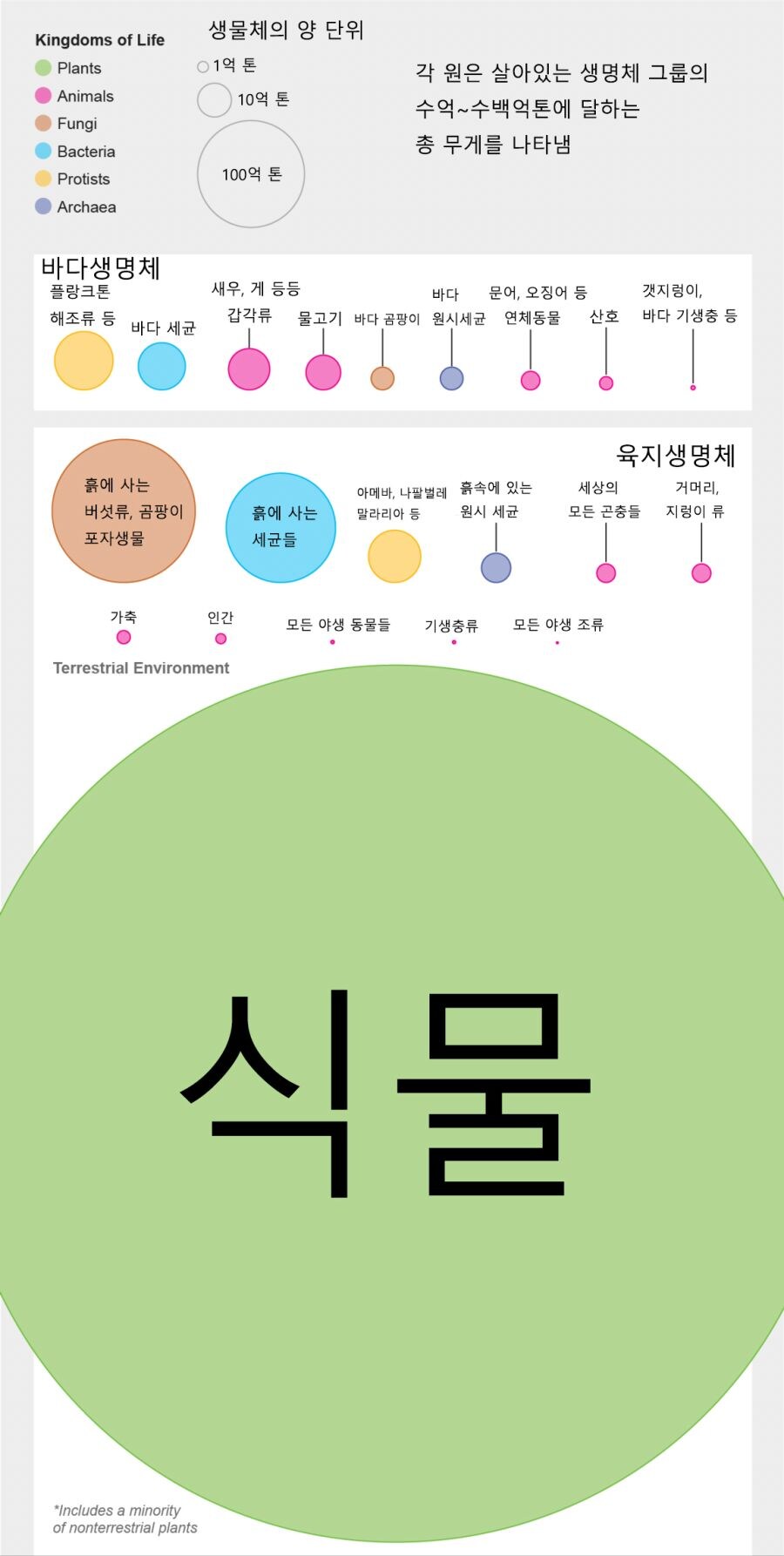 지구상에 존재하는 각종 생물군의 무게.jpg_1.jpg