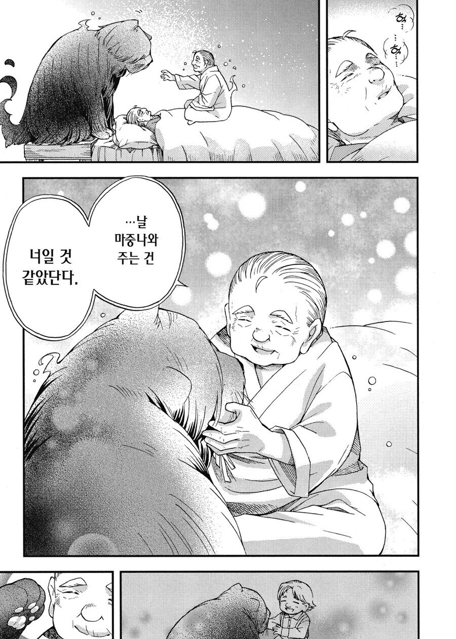 사람이 죽으면 먼저 가있던 반려동물이 마중 나온다.jpg_2.jpg