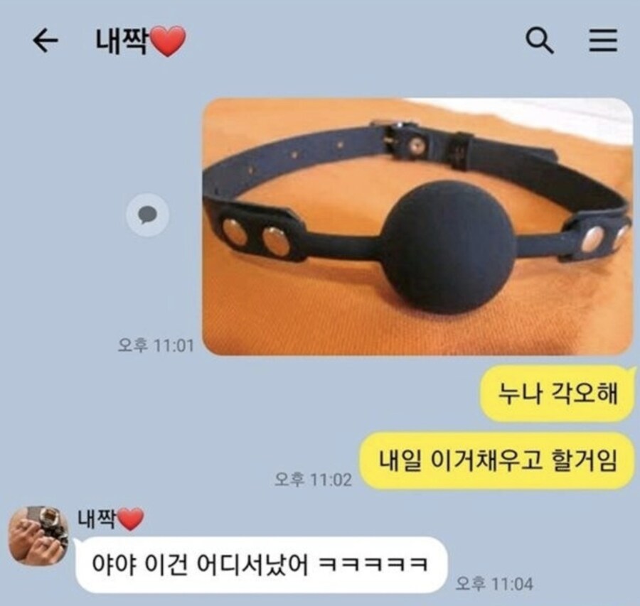 설명충 누나와 사귀는 남자의 카톡.jpg_1.jpg