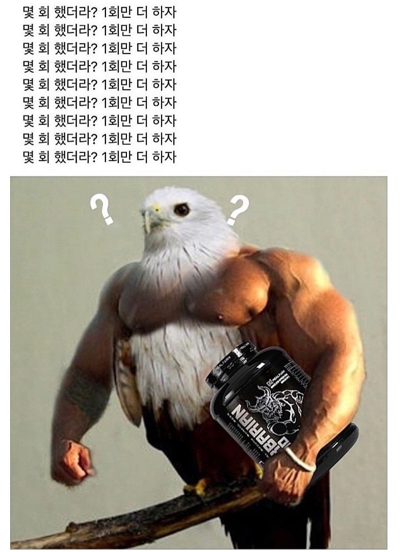 의외로 다들 겪는다는 헬스장 운동 루틴.jpg_1.jpg