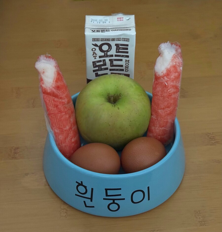 흰둥이 밥그릇 굿즈 활용법_1.jpg