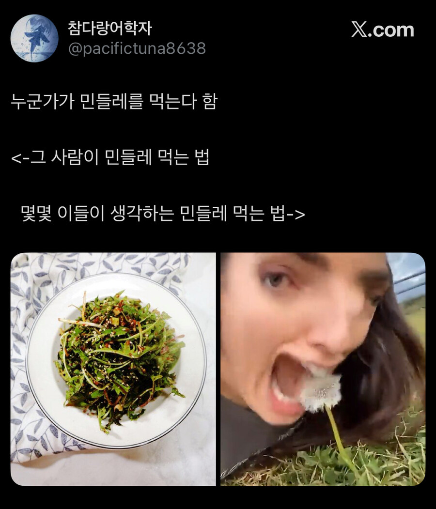 보리…_3.jpg