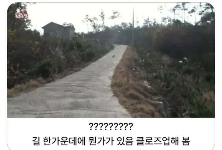 시골 콘크리트 길 갈 때 조심해야하는 이유_1.webp