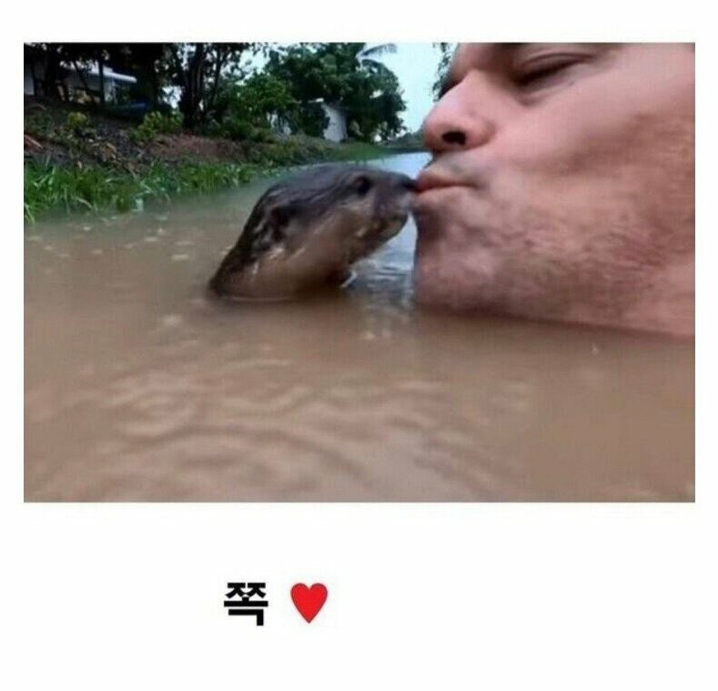 비오는날 강물 수영이 위험한 이유_3.jpg