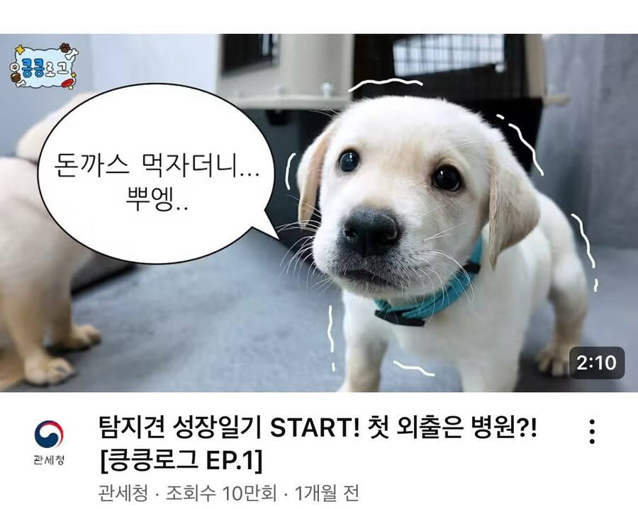 뿌엥_1.jpg