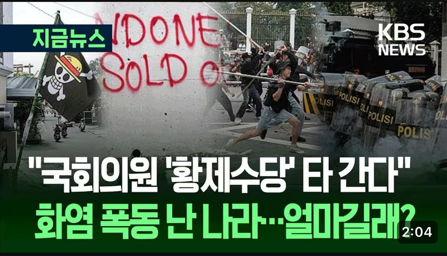 인도네시아에 상륙한 루피해적단.jpg_1.jpg