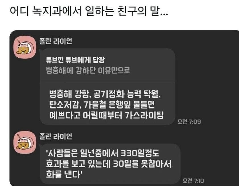 은행나무가 가로수로 가장 좋은 이유_1.jpg
