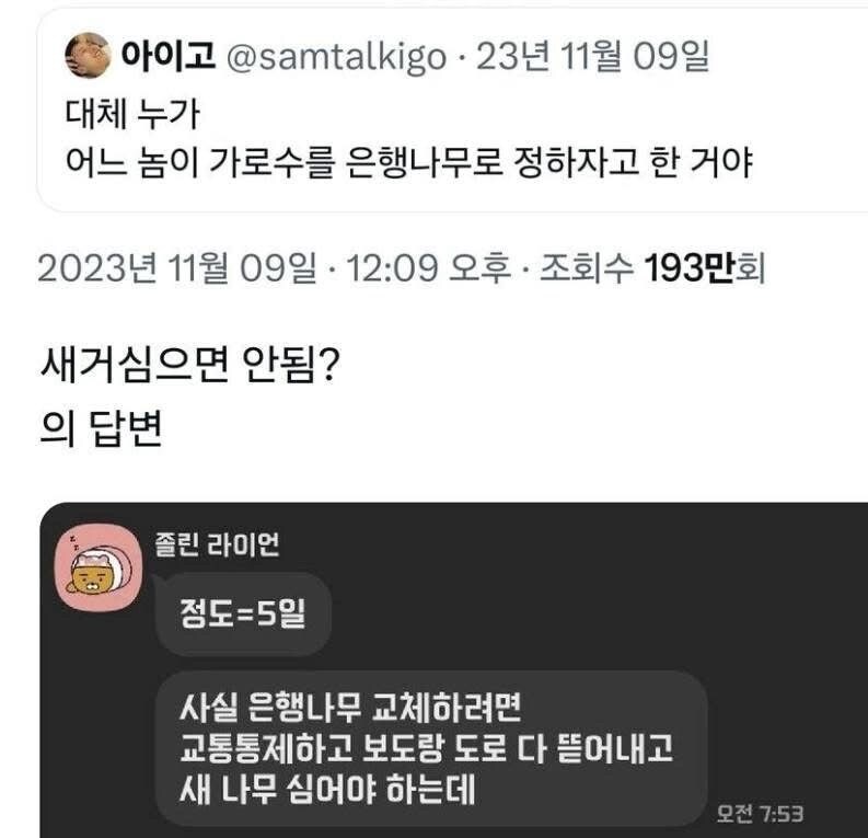 은행나무가 가로수로 가장 좋은 이유_2.jpg