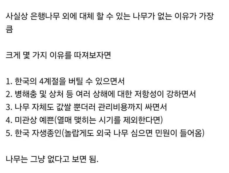 은행나무가 가로수로 가장 좋은 이유_4.jpg