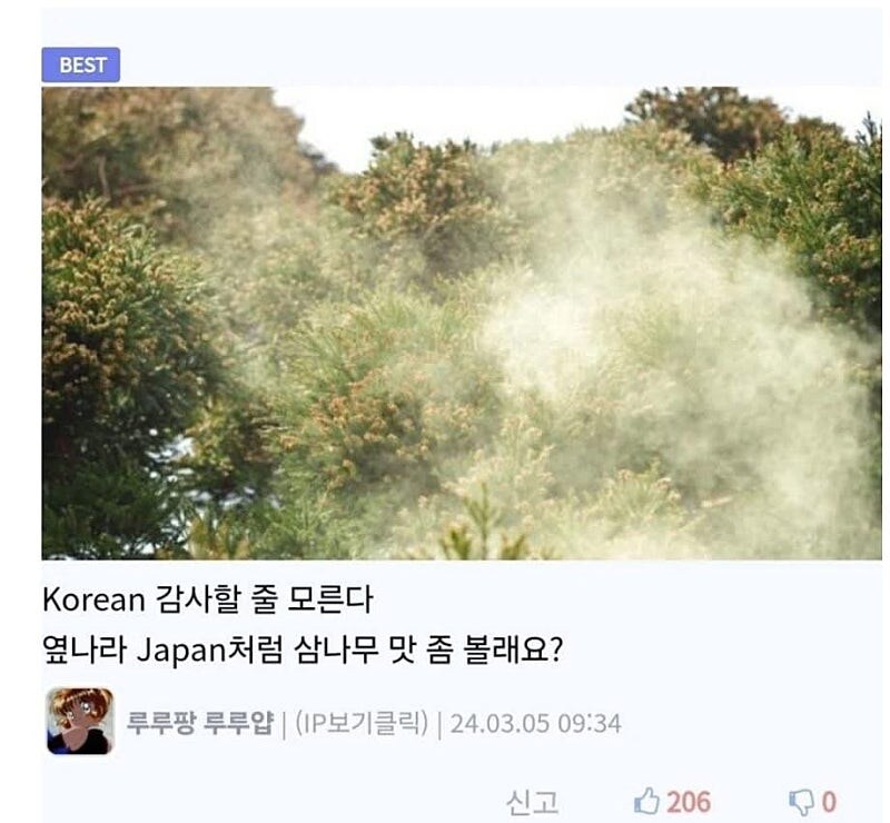 은행나무가 가로수로 가장 좋은 이유_8.jpg