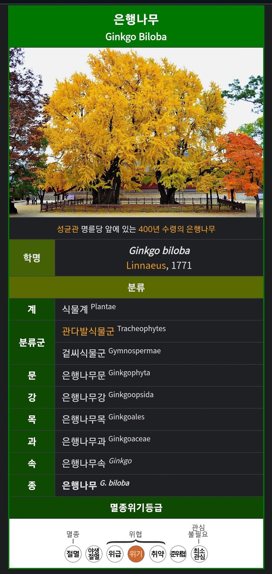의외로 대부분의 사람들이 은행나무에 대해서 모르는 부분_1.jpg