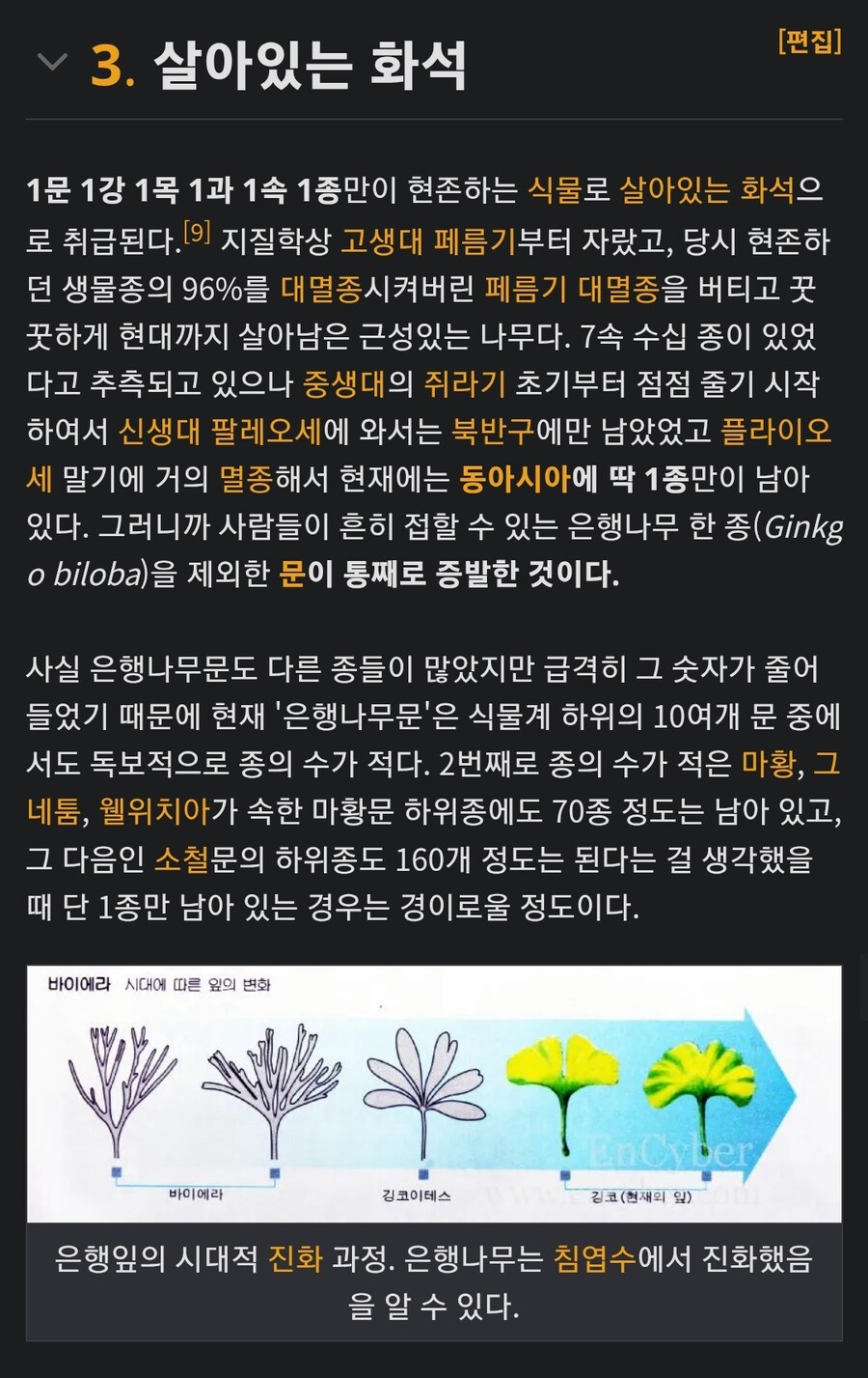 의외로 대부분의 사람들이 은행나무에 대해서 모르는 부분_2.jpg