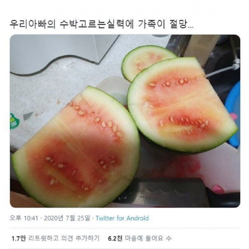 아빠의 수박고르기 실력.jpg_1.png