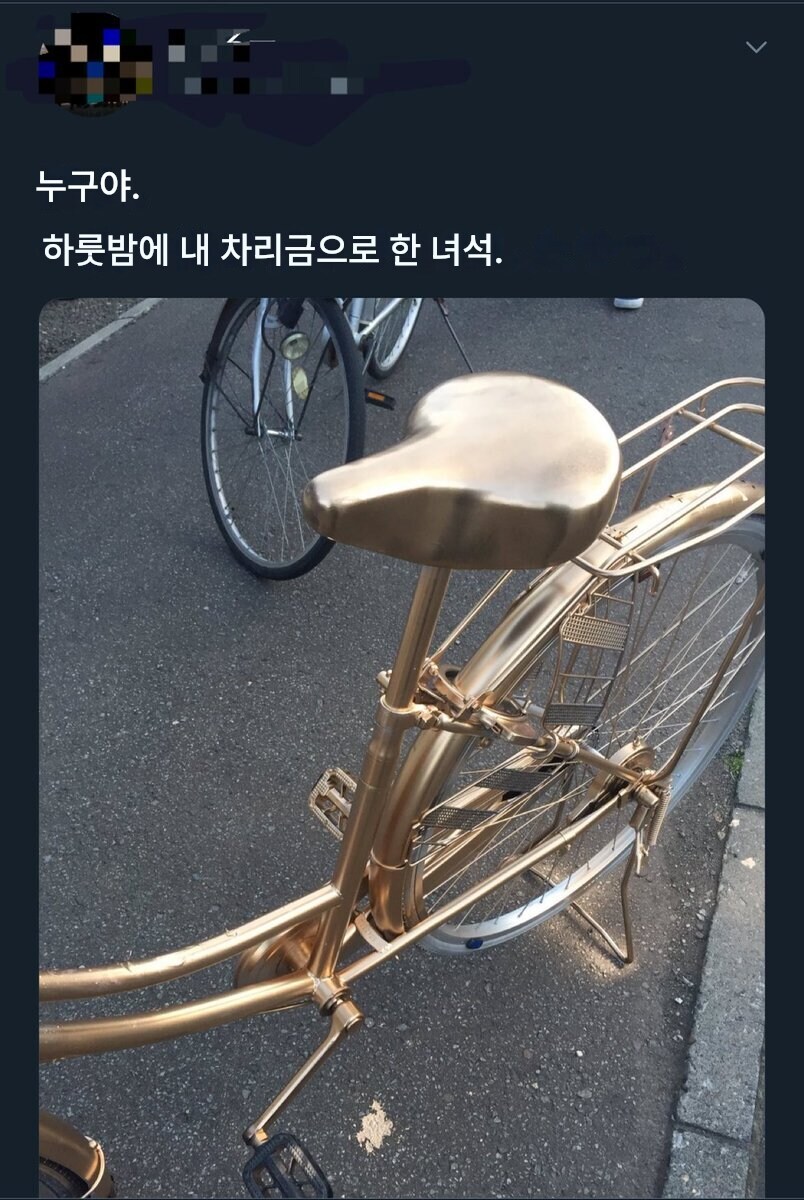 명경지수의 마음을 깨달은 자전거 주인_1.jpg