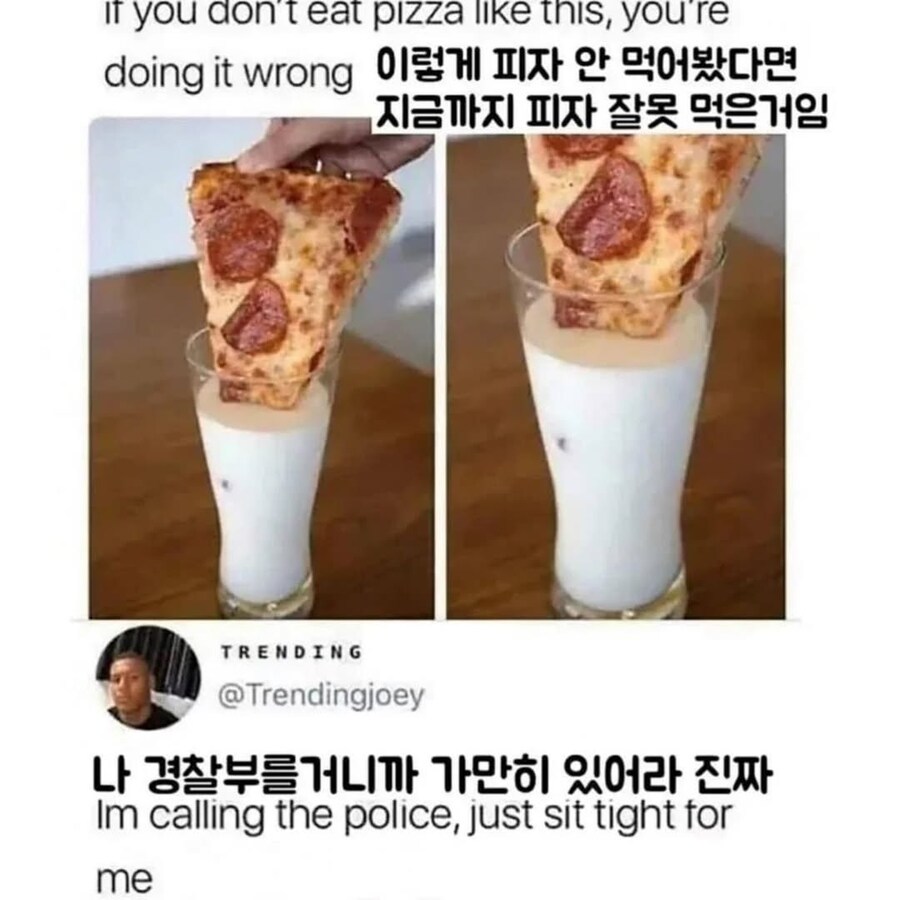 하와이안 피자 이상의 범죄.jpg_1.jpg
