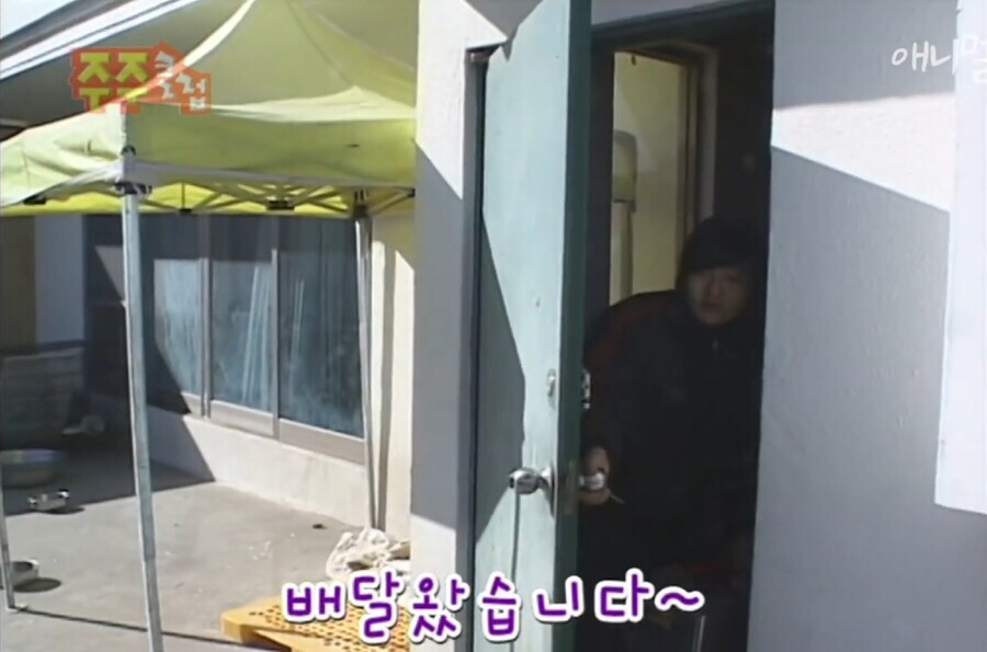 싱글벙글 낭만넘치던 시대 애완냥이_2.jpg