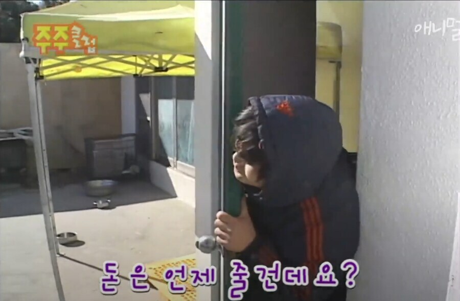 싱글벙글 낭만넘치던 시대 애완냥이_6.jpg