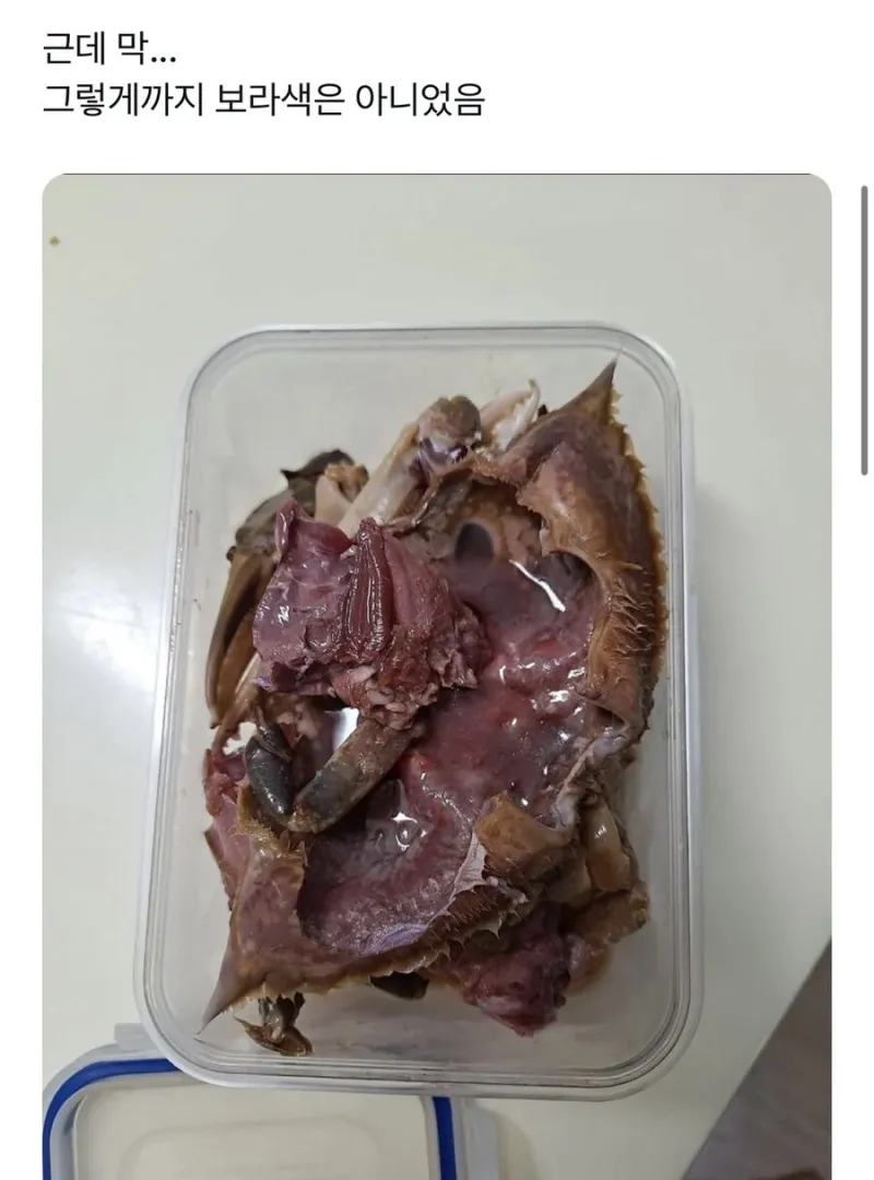 보라색이 근본 독표시인 이유.jpg_2.webp