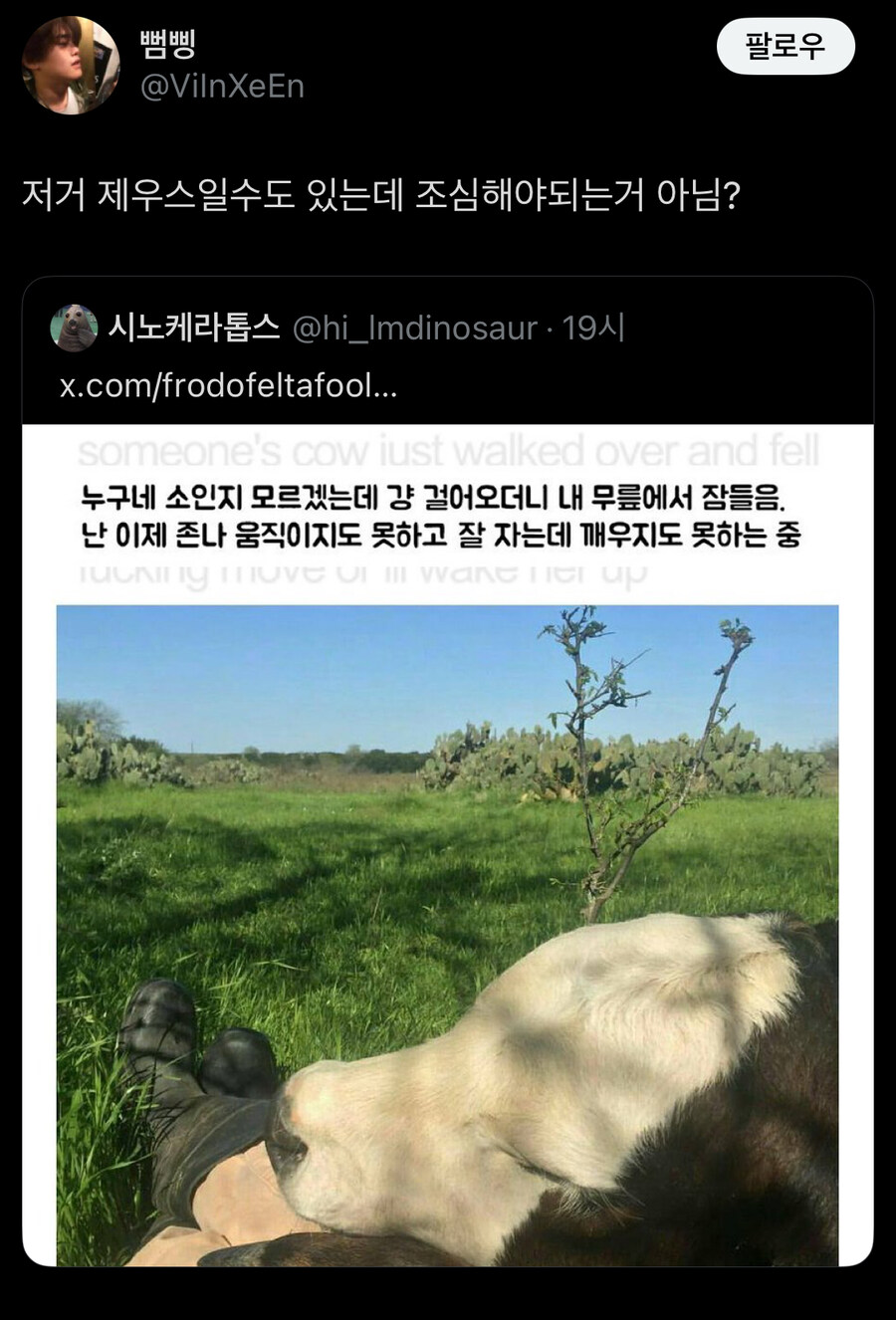 소를 조심해야 하는 이유_1.jpg