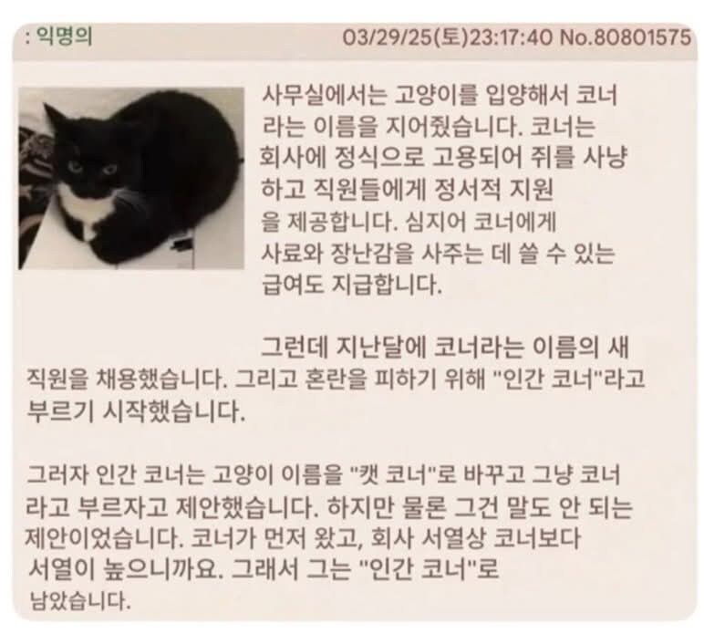미국에도 존재하는 직장내 서열 문화_1.jpg