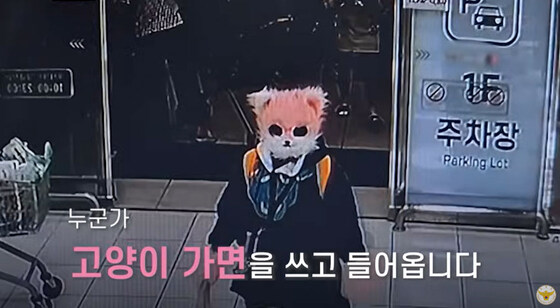 고양이 가면 쓴 채 흉기 들고 활보…경찰 잡히자
