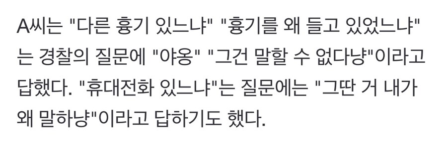 고양이 가면 쓴 채 흉기 들고 활보…경찰 잡히자