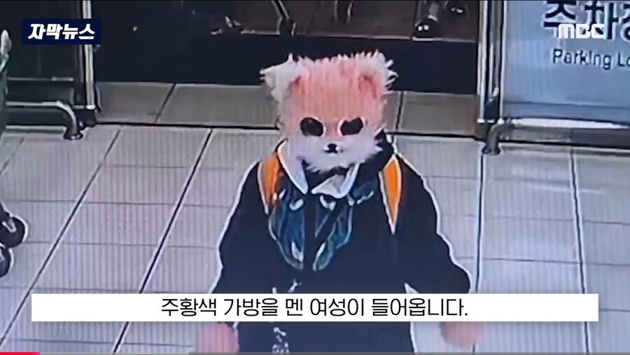 고양이 성향 여친인데 감당 가능?_1.png