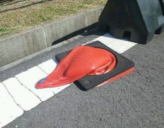 생각해보니까 대한민국의 자랑이 맞았던거같은것.png_2.jpg