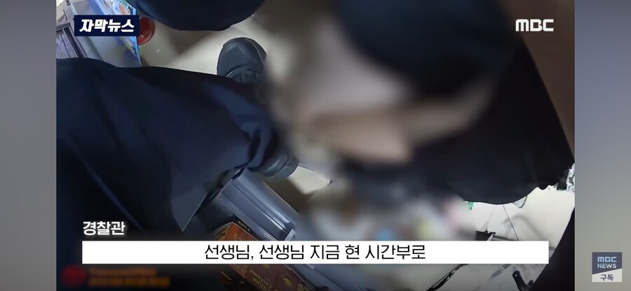 거제시 마트 고양이 가면 흉기 난동_4.png