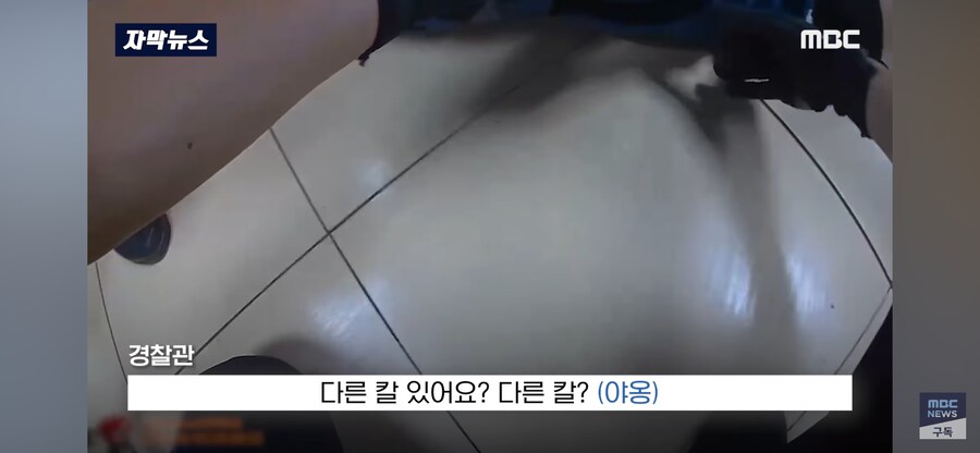 거제시 마트 고양이 가면 흉기 난동_6.png