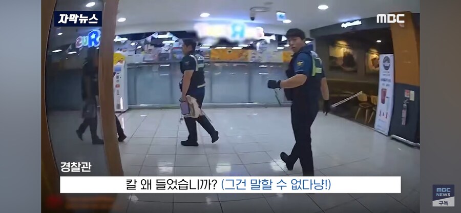 거제시 마트 고양이 가면 흉기 난동_7.png