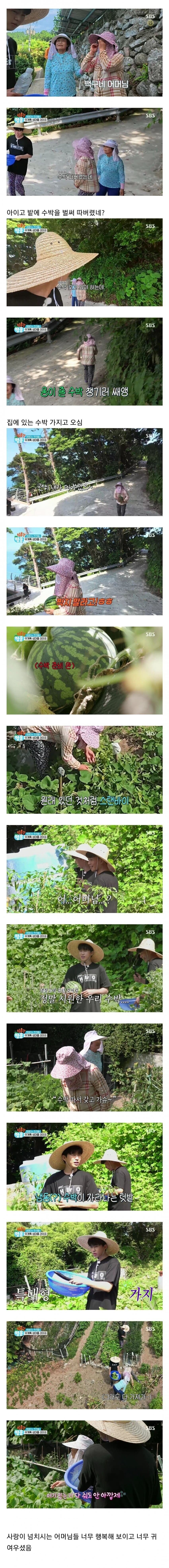 임영웅을 만난 섬마을 어머님들 반응.jpg_3.jpg