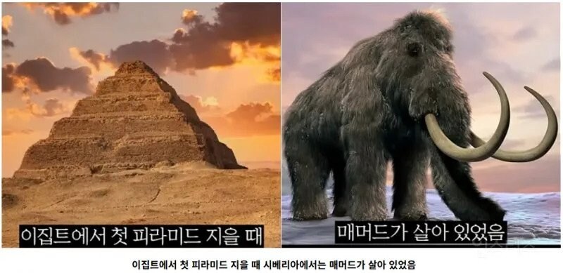세계의 역사가 겹치는 순간들.jpg_1.jpg