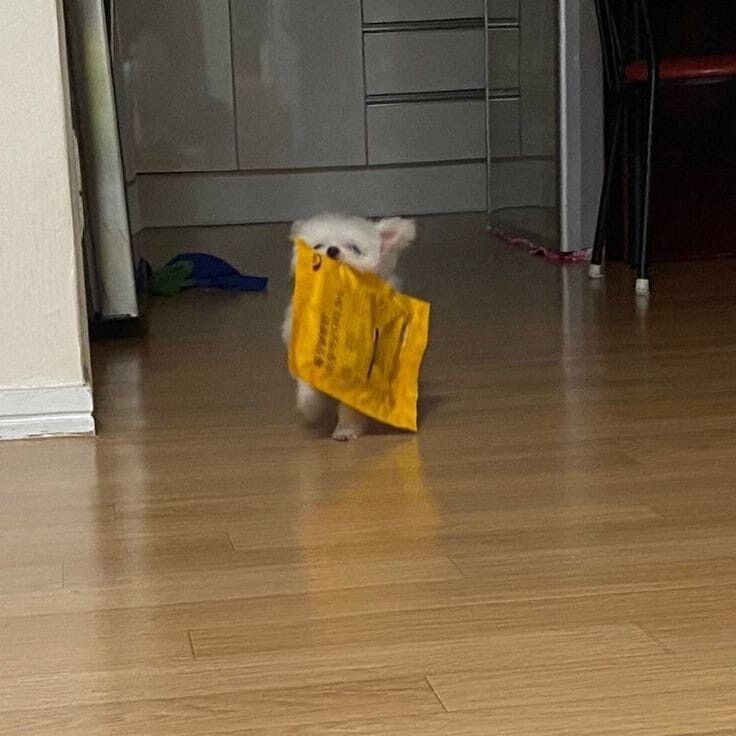 ??? : 쭈인아 이것좀 뜯어주라.JPG_1.jpg