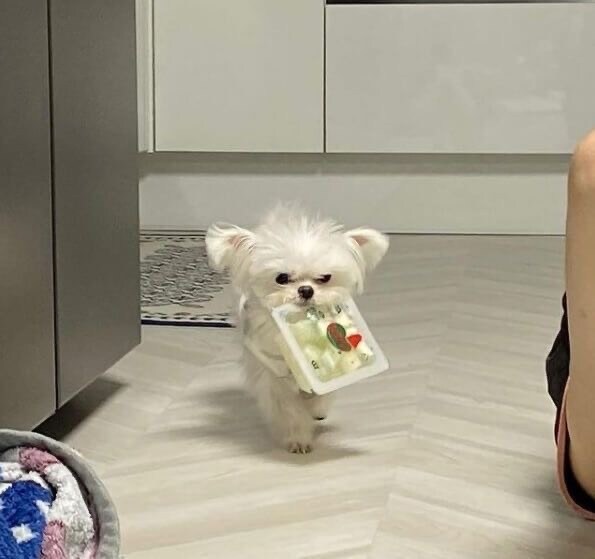 ??? : 쭈인아 이것좀 뜯어주라.JPG_3.jpg