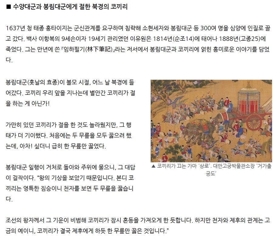 역사)코끼리 특 조선 둘째 왕자 킹메이커임_3.png