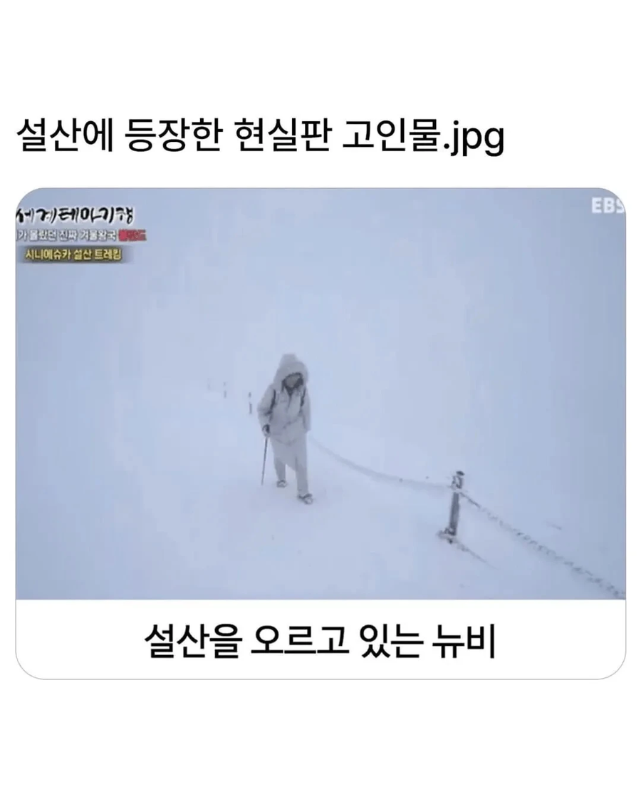 설산에서 뉴비를 보고 흥분한 고인물._1.webp