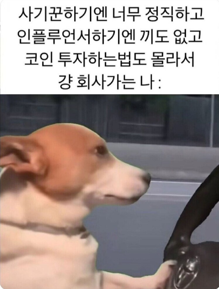 대부분의 직장인들 특_1.png