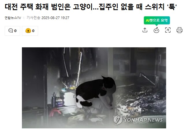 대전 주택 불낸 고양이로 인한 피해액.JPG_1.png