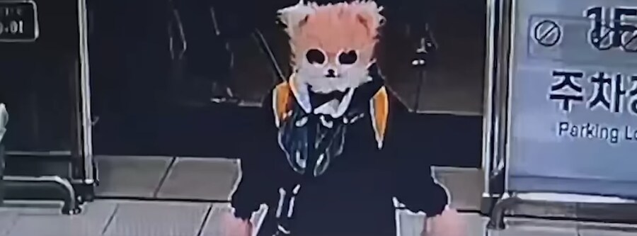 범죄를 저지른 범죄자의 최초 진술_11.jpg