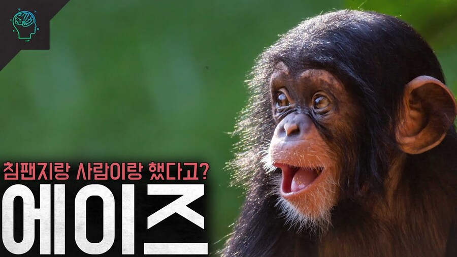 수없이 많은 인간을 학살한 포유류 동물들 1,2위_2.jpg