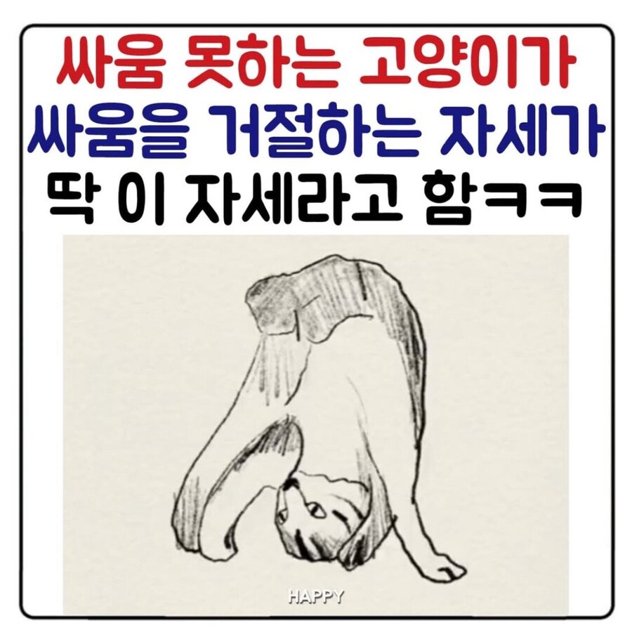 싸움 거절하는 고양이의 자세.jpg_1.jpg