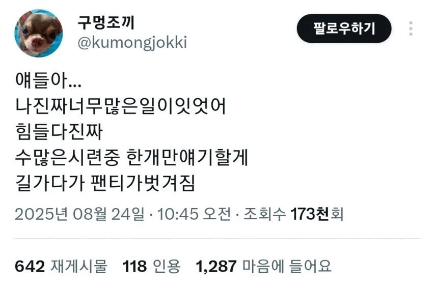 다이소에서 절대 사면 안되는 물건_1.webp