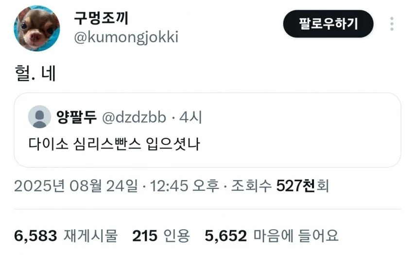 다이소에서 절대 사면 안되는 물건_3.webp