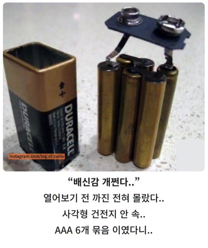 충격적인 사각형 건전지의 비밀.jpg_1.jpg