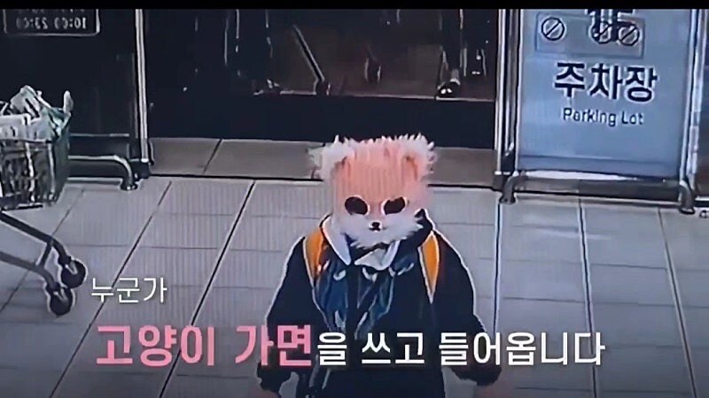 고양이탈 쌍칼녀 ㄷㄷㄷ;;_1.jpg