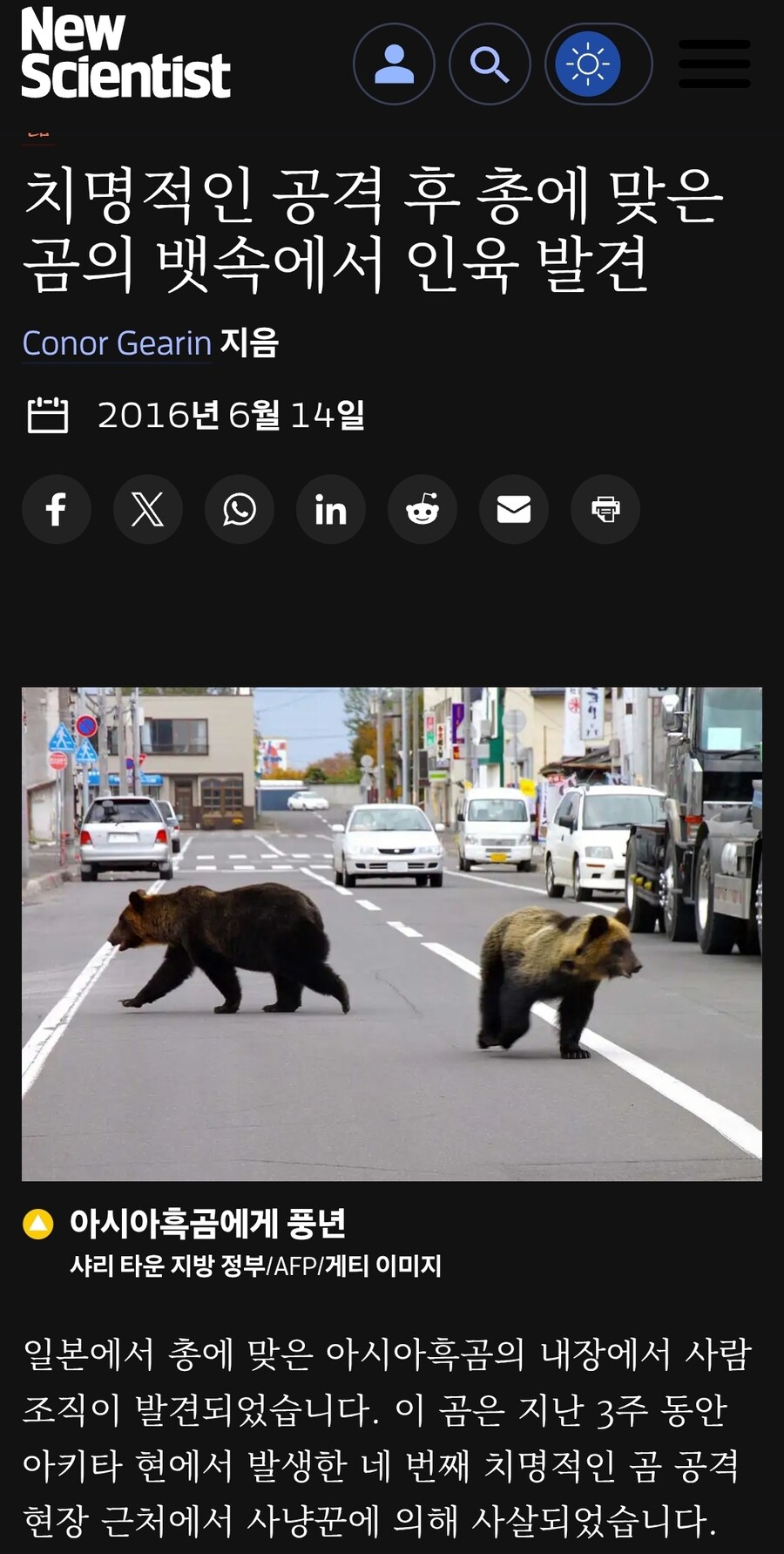 ???: 반달곰도 푸바오처럼 사랑해 줘라!!_3.jpg